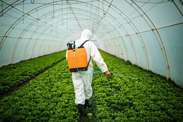Professional Pest Control in Holbrook, NY