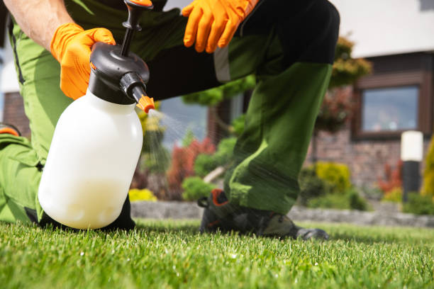 Wildlife Control Services in Holbrook, NY