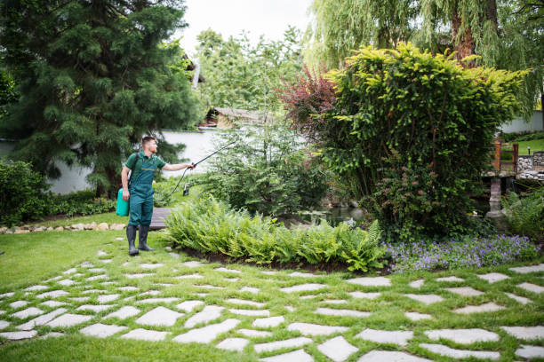 Best Residential Pest Control  in Holbrook, NY