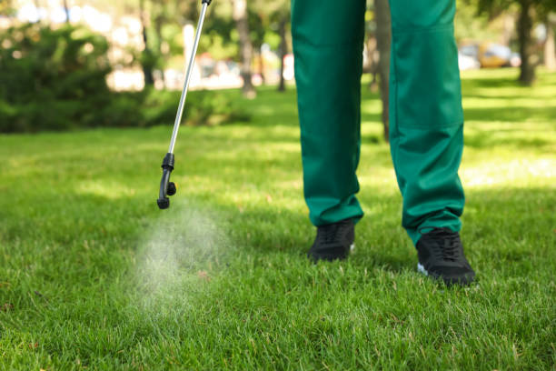 Best Best Pest Control Companies  in Holbrook, NY