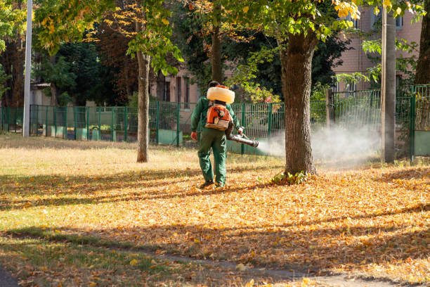 Best Mosquito Control Services  in Holbrook, NY