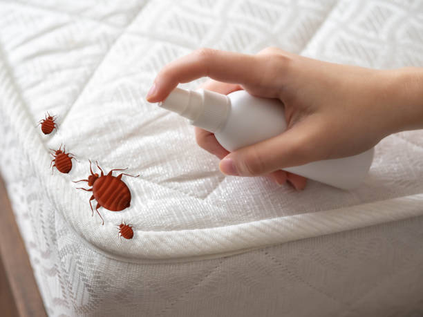 Best Best Pest Control Companies  in Holbrook, NY